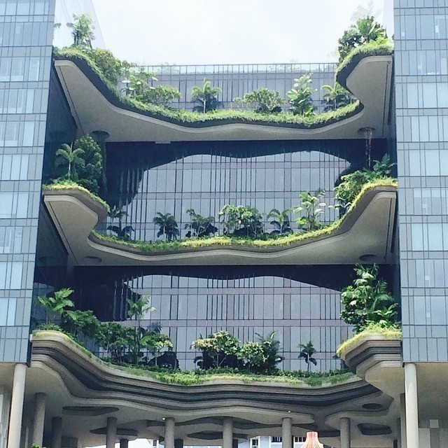 Cool terraces. Chinatown. #singapore