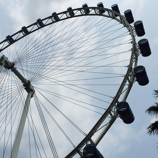 #Singapore Flyer