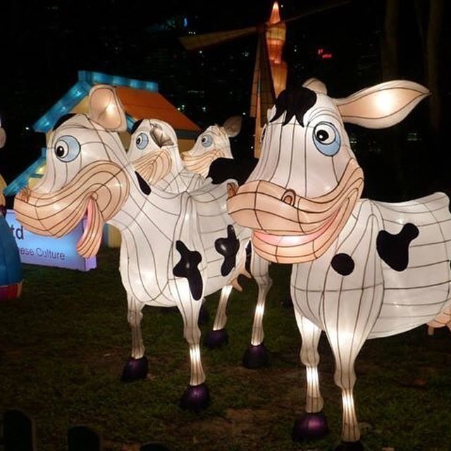 Some more #Singapore impressions. Mid-Autumn light festival 2014.