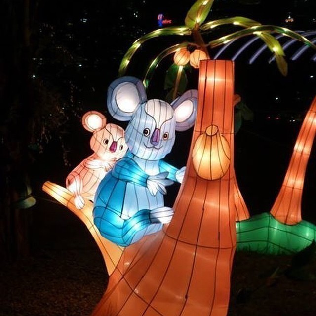 Some more #Singapore impressions. Mid-Autumn light festival 2014.