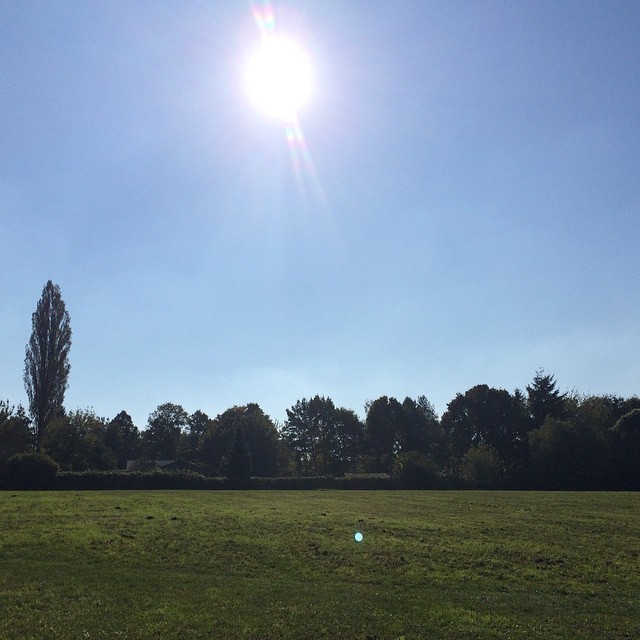 Beautiful sunny autumn day in Berlin with a nice but gentle breeze. #berlin