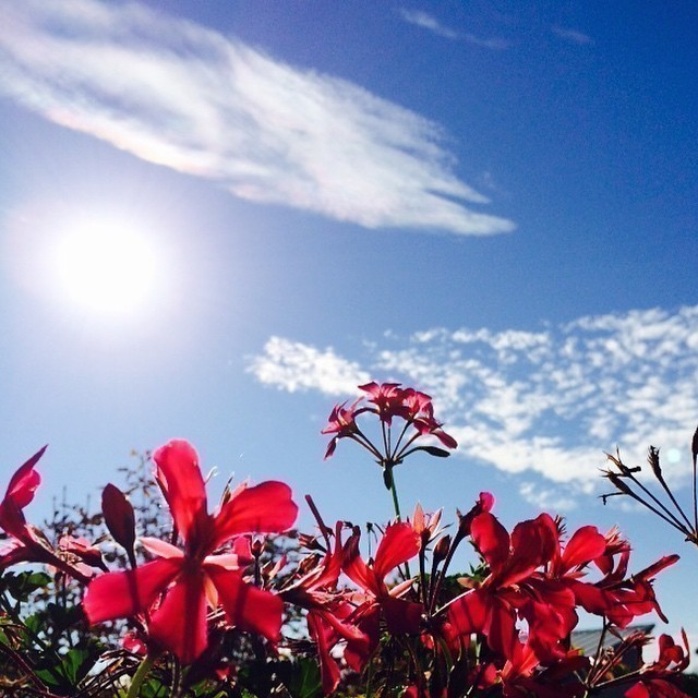 What a stunning summer day in Berlin ^:^ #berlin