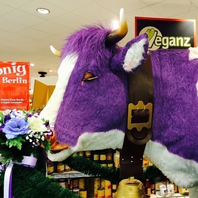 I am seeing things: like a life-size lilac cow in the middle of the supermarket. Time for holidays. #TGIF