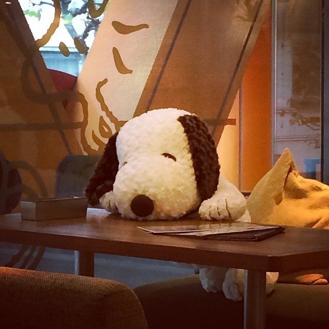 I think it’s tired. What do you think? #tokyo