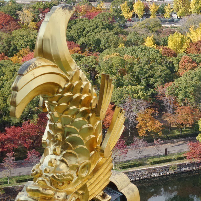 Beautiful autumn colours in Osaka. #japan