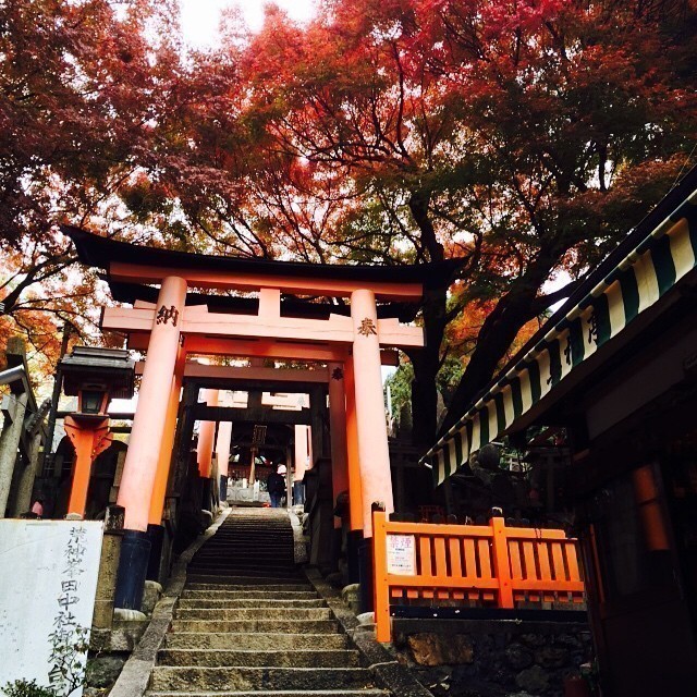 Fushimi Inari-taisha Shinto Shrine Kyoto #japan
