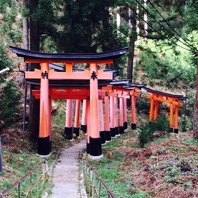 Fushimi Inari-taisha Shinto Shrine Kyoto #japan