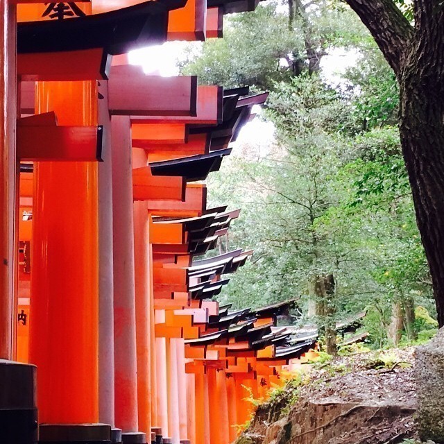 Fushimi Inari-taisha Shinto Shrine Kyoto #japan