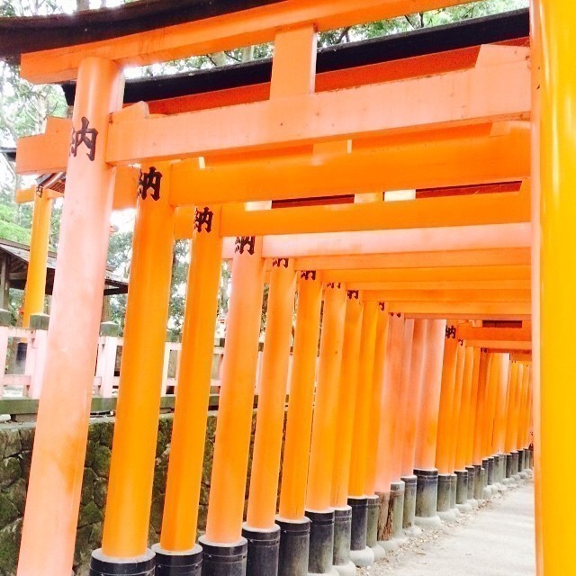 Fushimi Inari-taisha Shinto Shrine Kyoto #japan