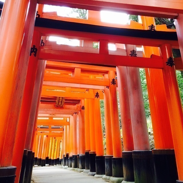 Fushimi Inari-taisha Shinto Shrine Kyoto #japan