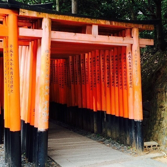 Fushimi Inari-taisha Shinto Shrine Kyoto #japan