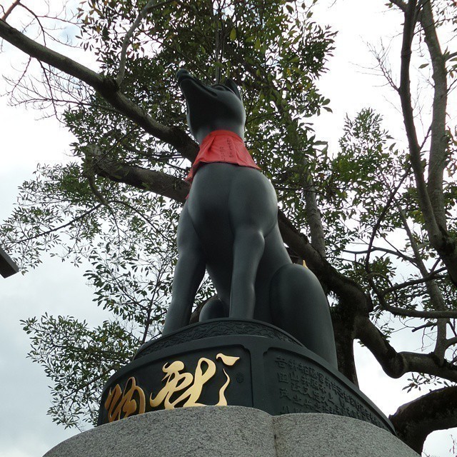 Some more impressions from #Kyoto