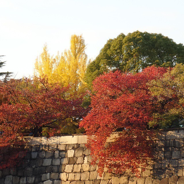 Some more impressions from #Osaka
