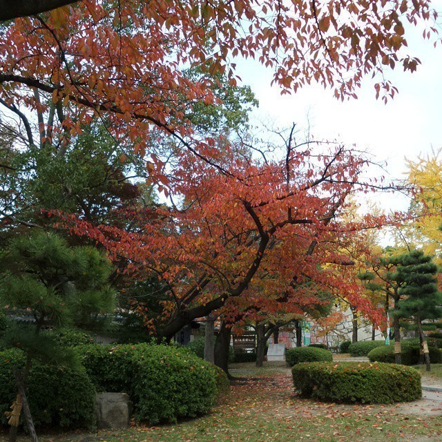 Some more impressions from #Osaka