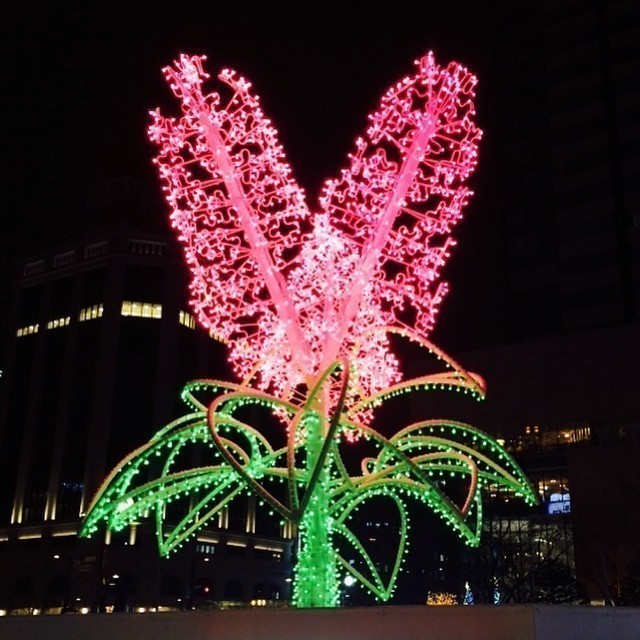 Sapporo White Illumination. #Sapporo