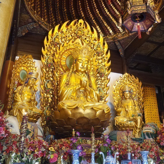 Longhua Temple and Pagoda #Shanghai