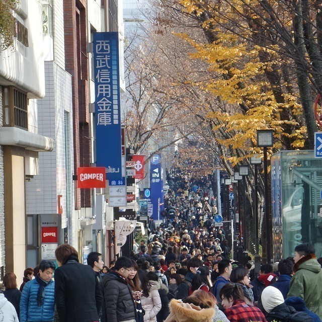 A little busy today ^,^ Sunday and beautiful weather. Blue sky and sunshine.