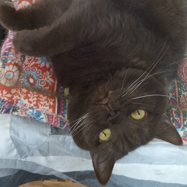 I think someone is glad that I am back ^^ ….