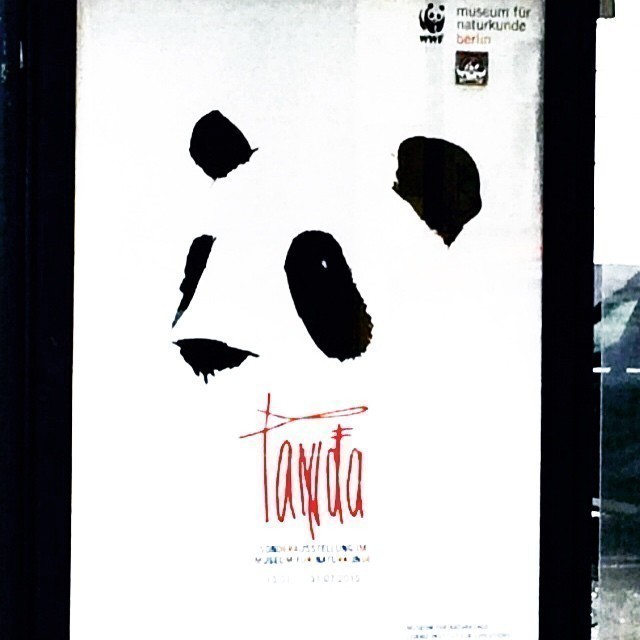Love the Panda art advertising an exhibition in Berlin.