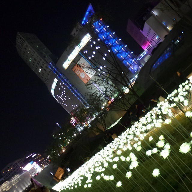 #Seoul by night.