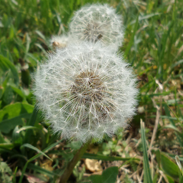 Some impressions of that nature reserve. #nature