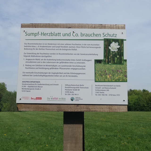 Turns out that the beautiful nature reserve right behind my apartment is actually very rare and now protected….
