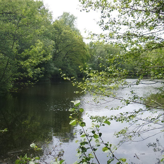 Some impressions of that nature reserve. #nature