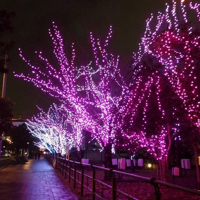#lights