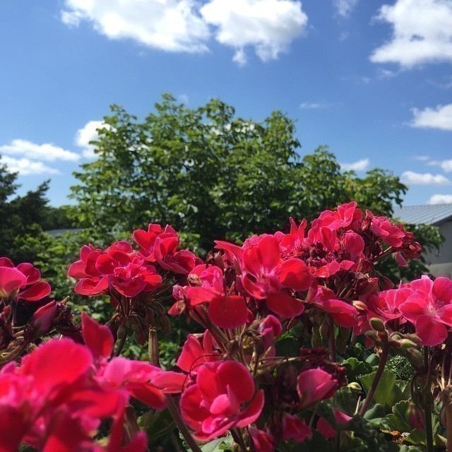 Has #summer finally arrived in
