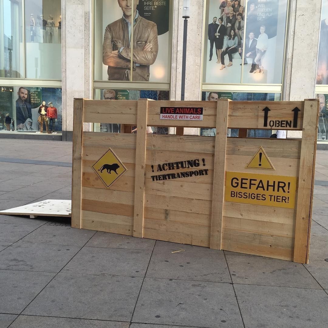 Be aware: wild animals have escaped their transport box at #Berlin