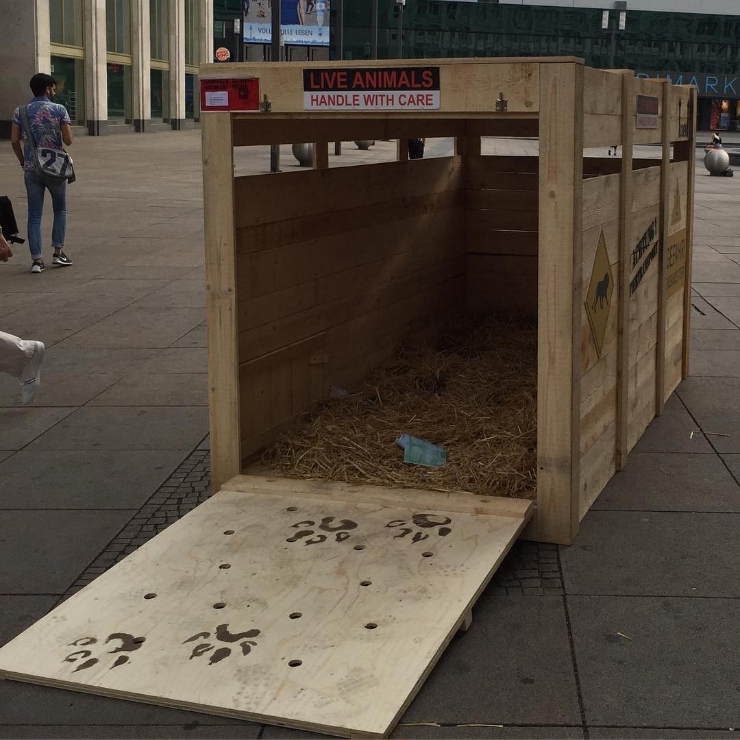 Be aware: wild animals have escaped their transport box at #Berlin