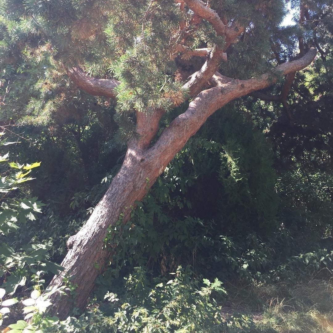 Nature.