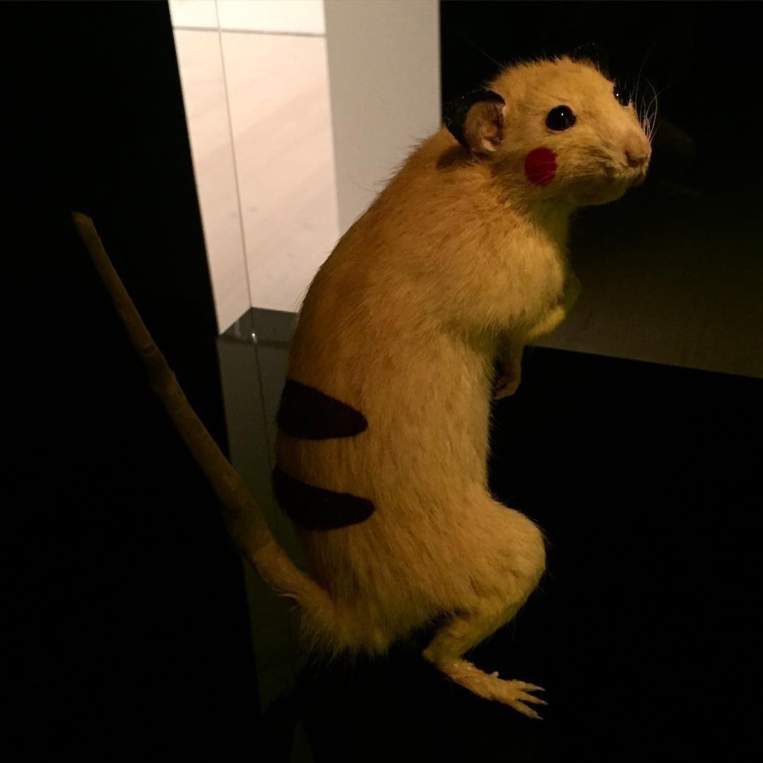 SUPER RAT Chim↑Pom Saatchi Gallery London 10 – 20 September, 2015 @ Saatchi Gallery @chimpomhappy