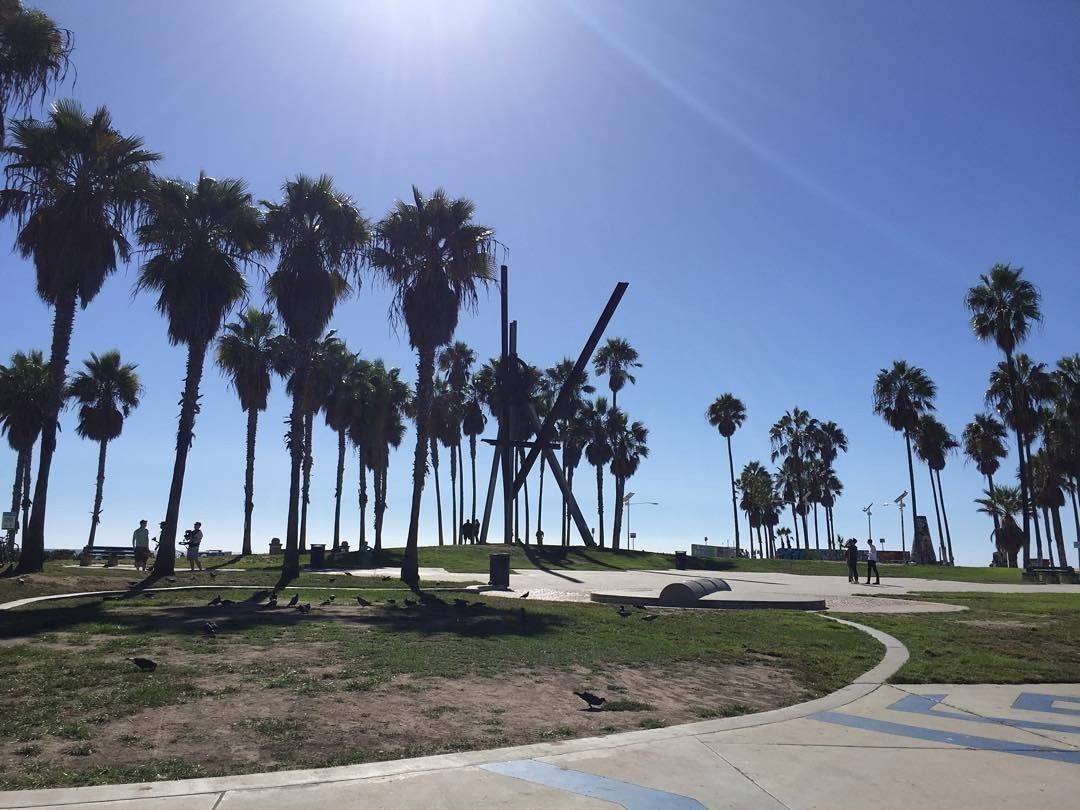 #VeniceBeach
