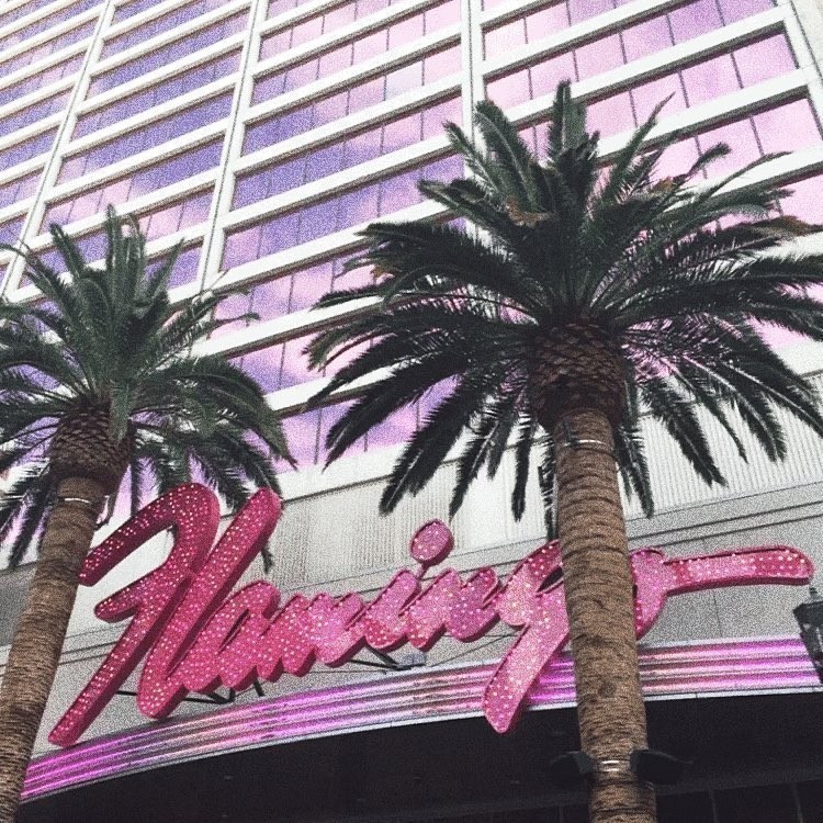 #Flamingo