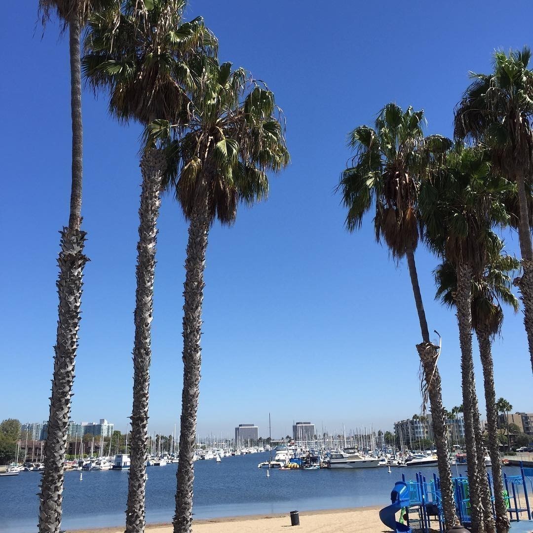 #MarinaDelRey