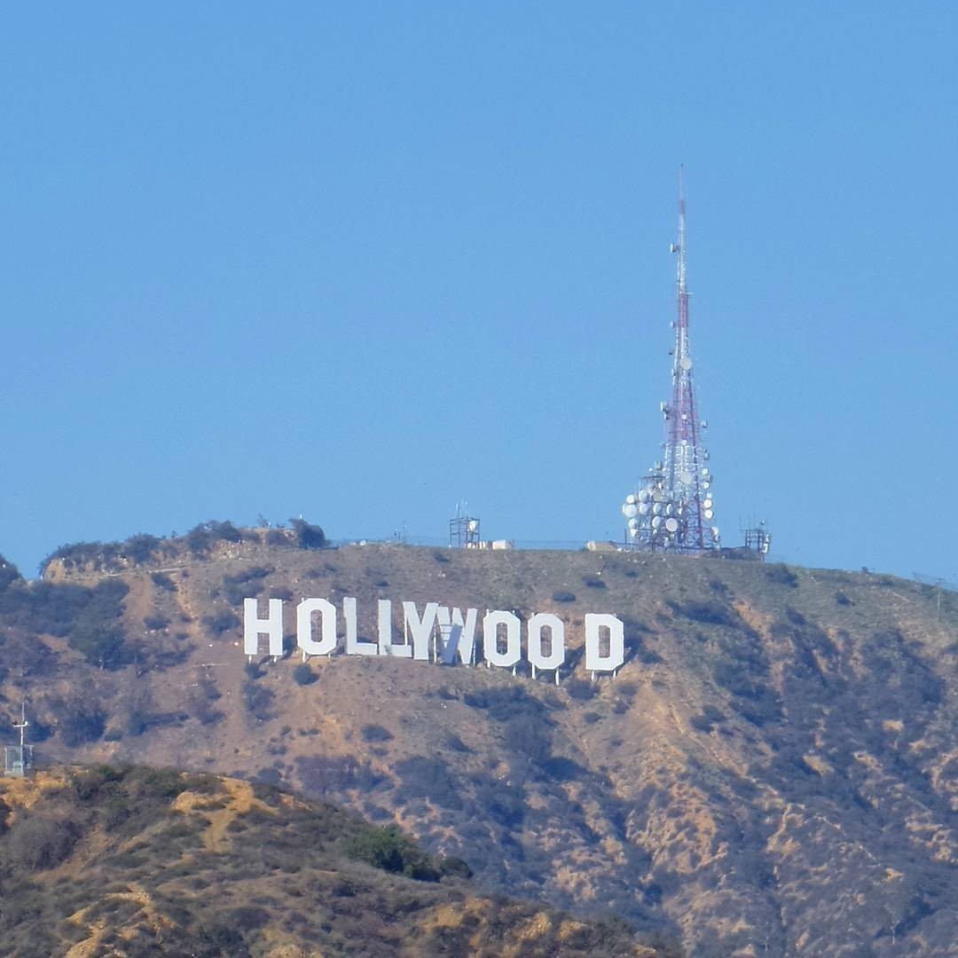 #Hollywood