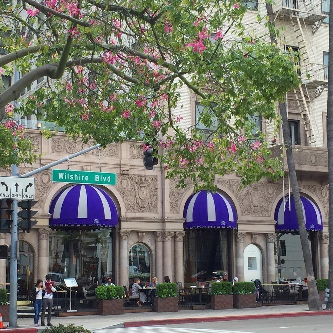 Beverly Hills Wilshire Blvd – beautiful flowers.