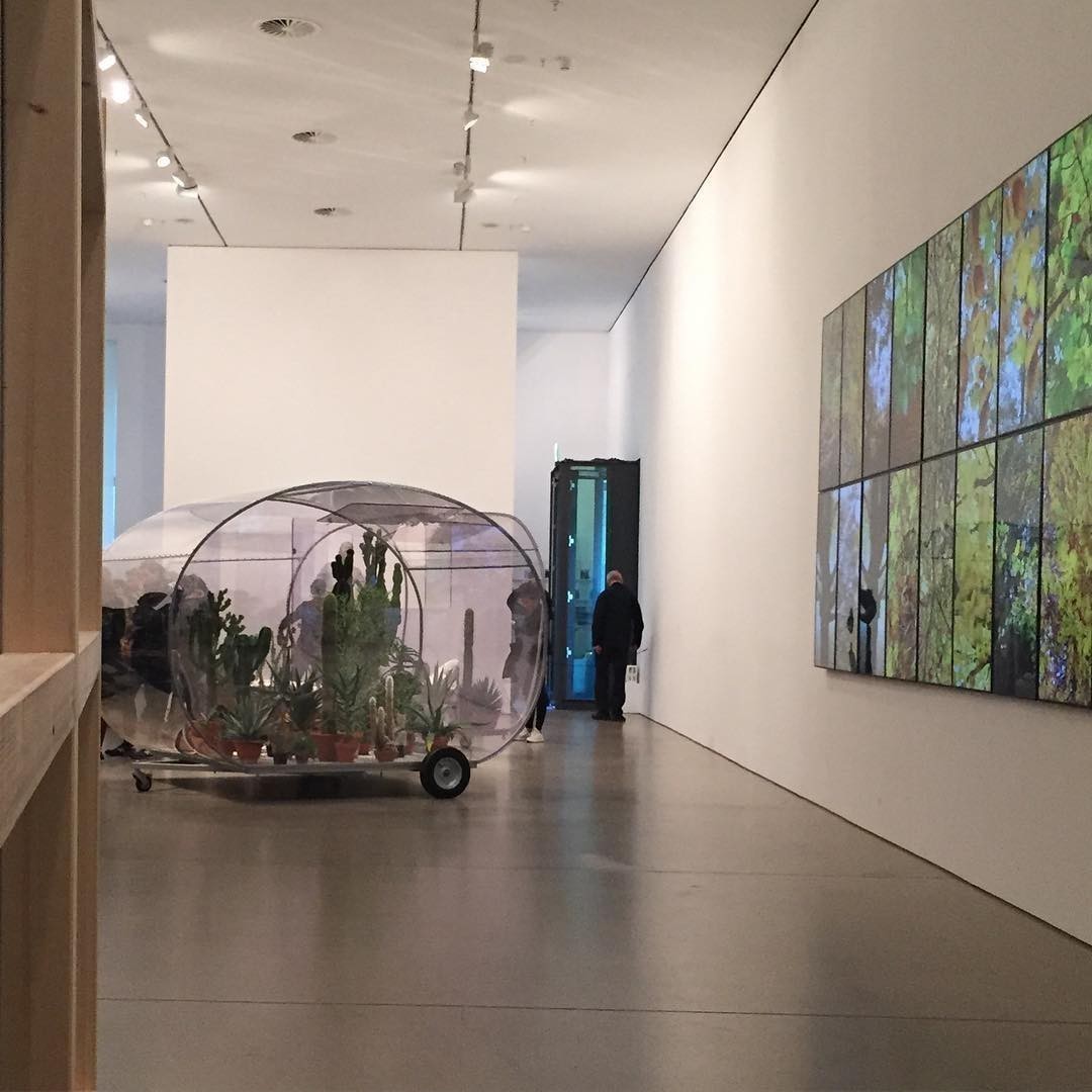 #Xenopolis at
