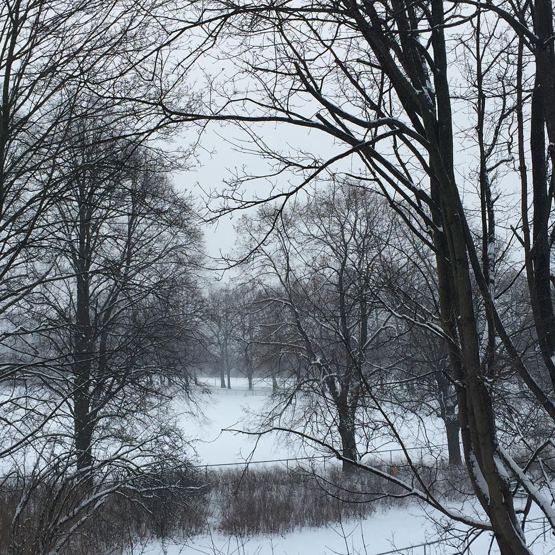 Winter has arrived in #Berlin