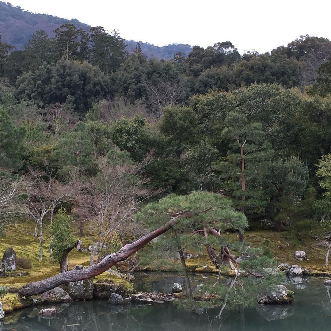 Tenryu-ji Zen Temple and gardens in #Kyoto