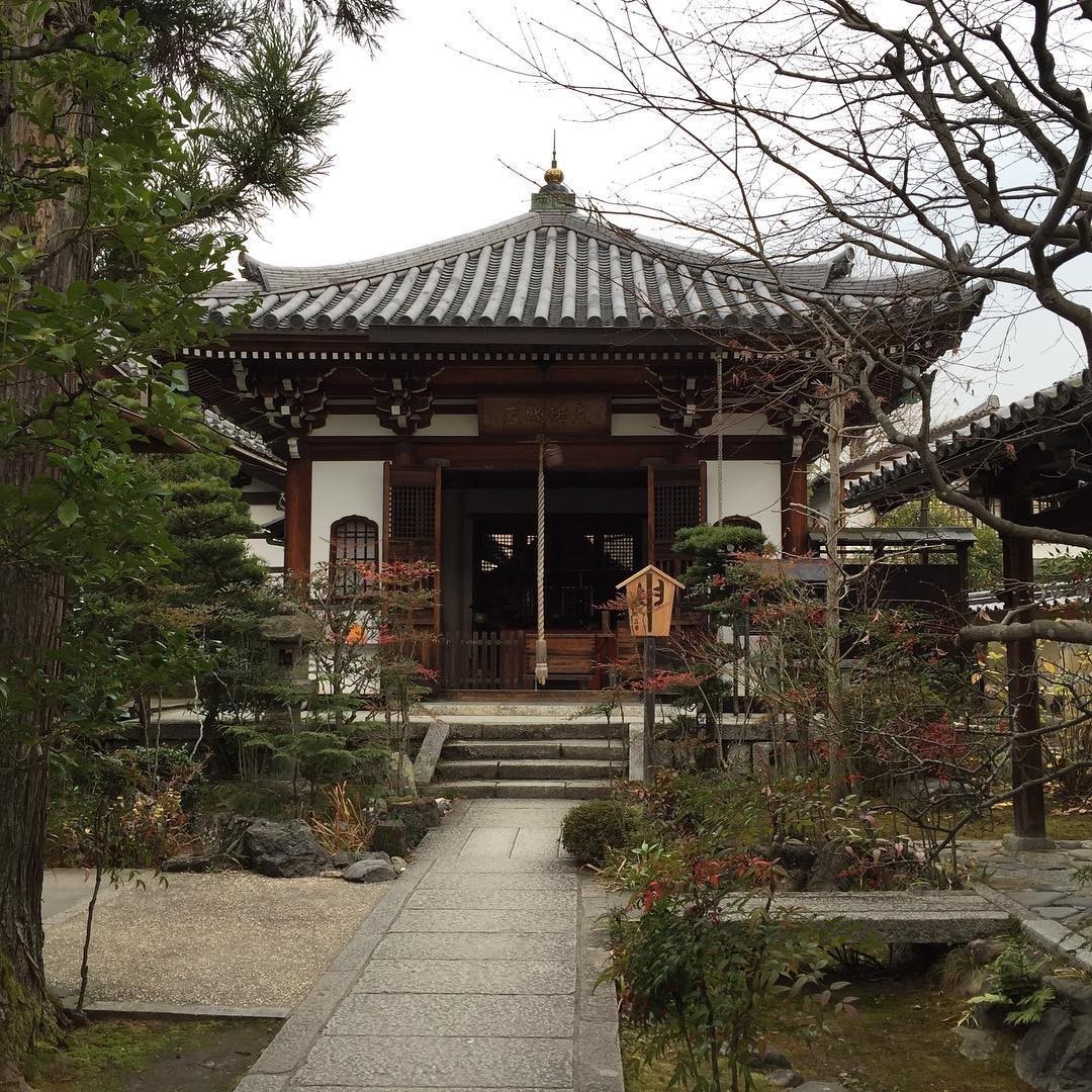 Tenryu-ji Zen Temple and gardens in #Kyoto