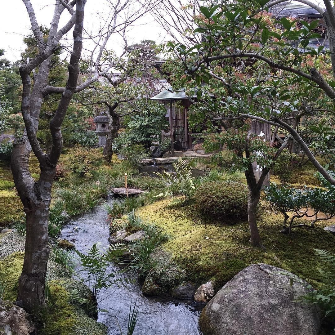 Tenryu-ji Zen Temple and gardens in #Kyoto