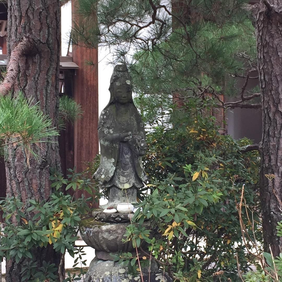 Tenryu-ji Zen Temple and gardens in #Kyoto