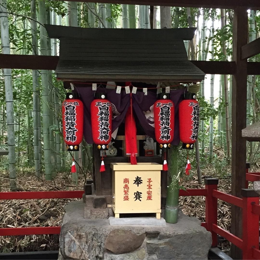 Nonomiya Shrine #arayashima