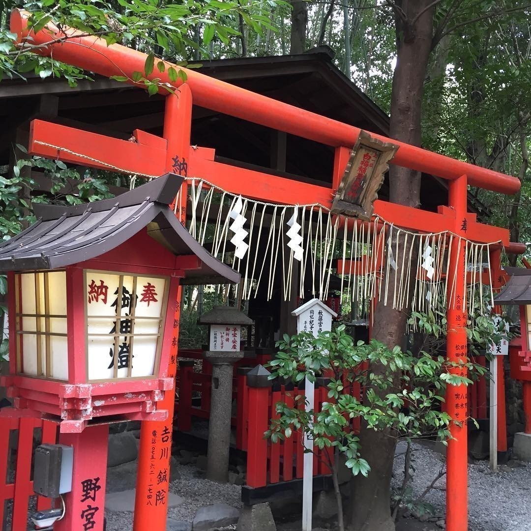 Nonomiya Shrine #arayashima