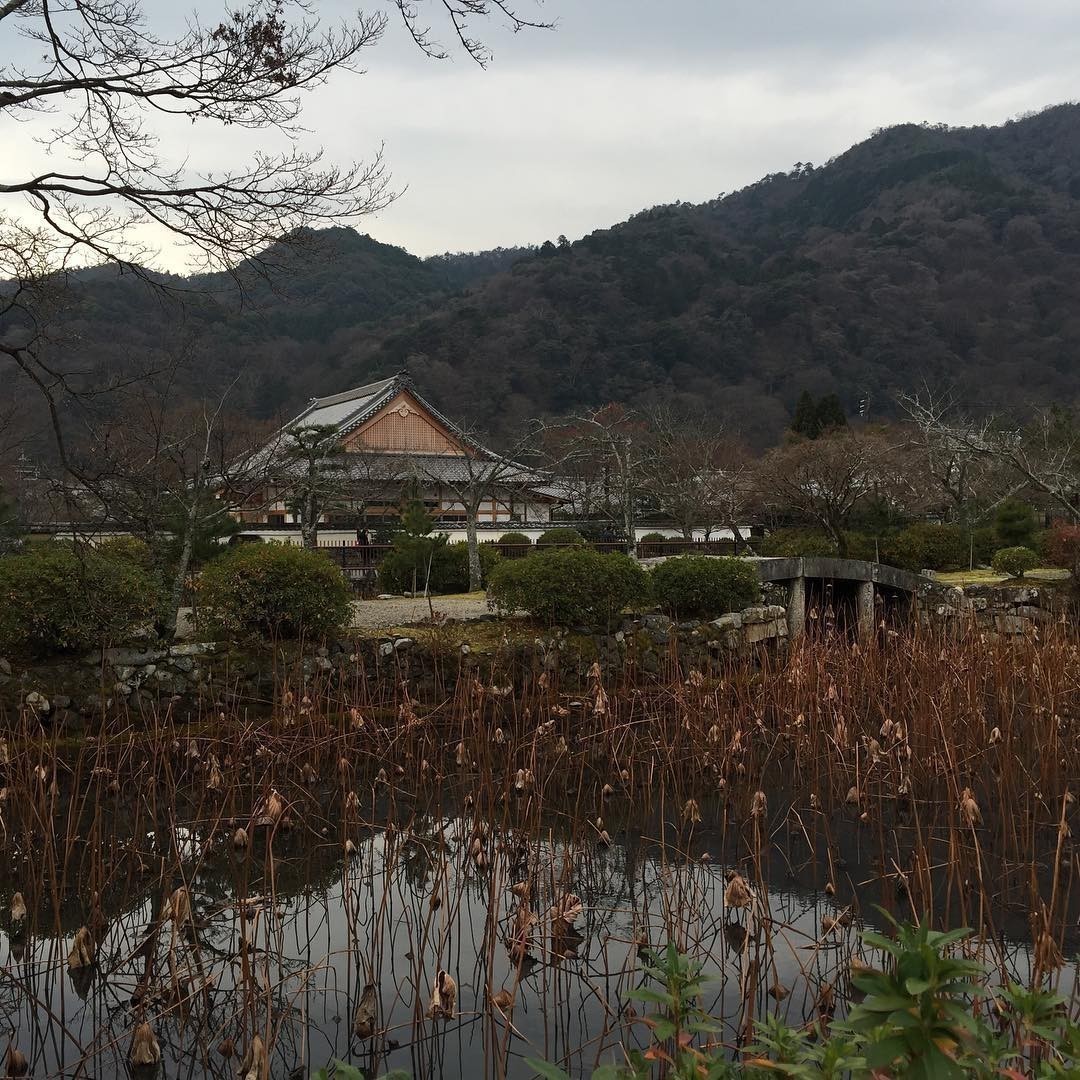Tenryu-ji Zen Temple and gardens in #Kyoto