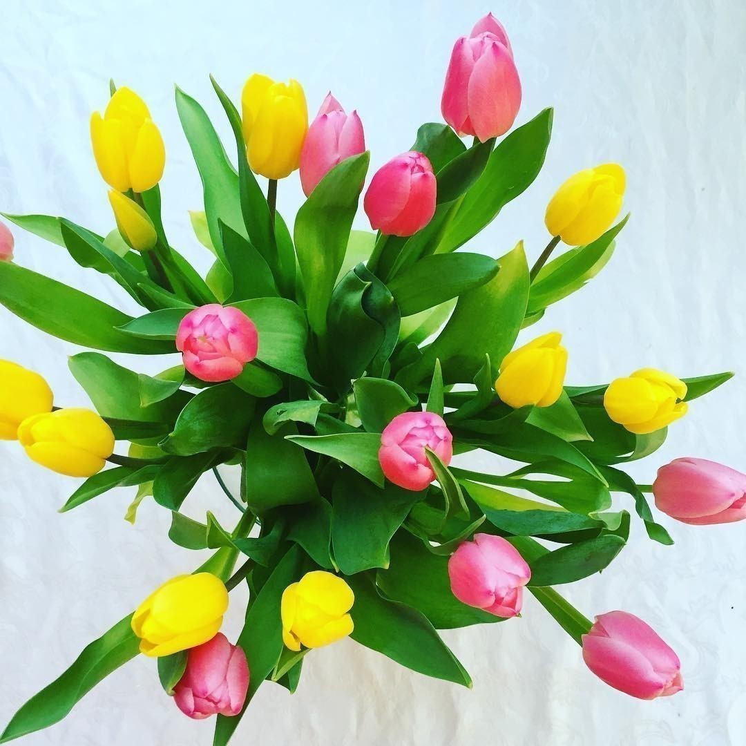 After three hail storms during sun shine today time to invite Spring into our homes.