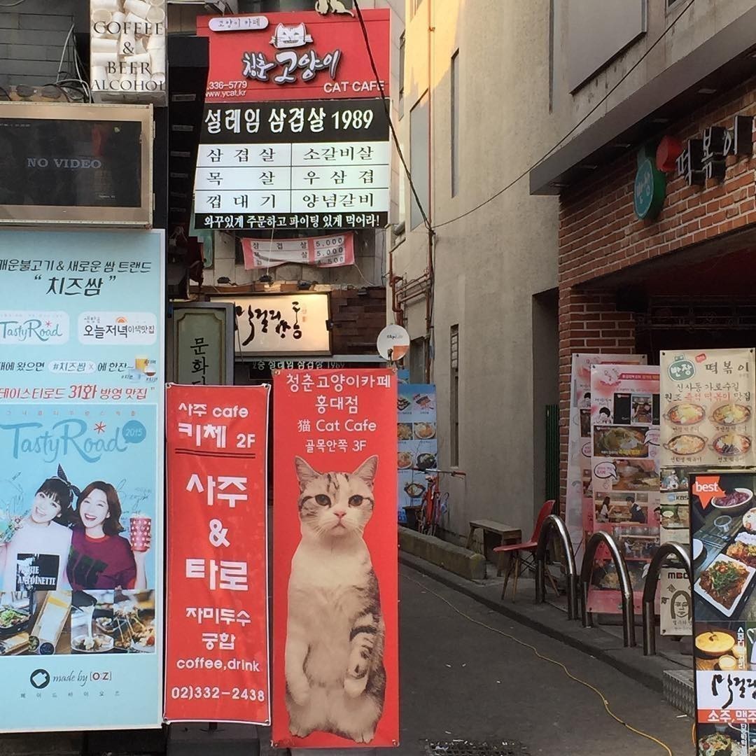 Oh this should be for me #CatCafe …