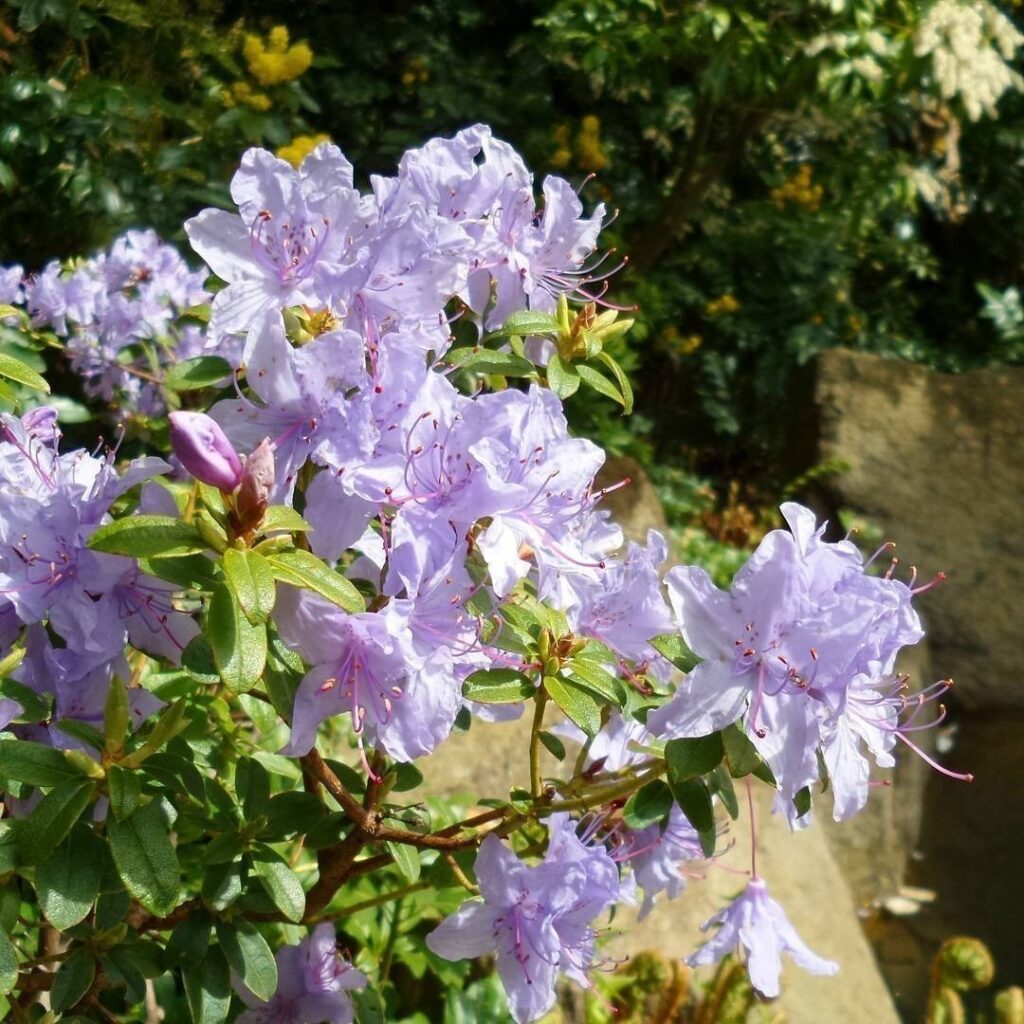 #Spring